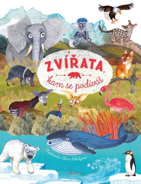 Zvířata, kam se podíváš Ivana Kocmanová
