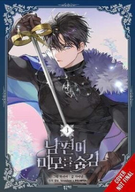 My Secretly Hot Husband, Vol. 3 - Gabi Nam